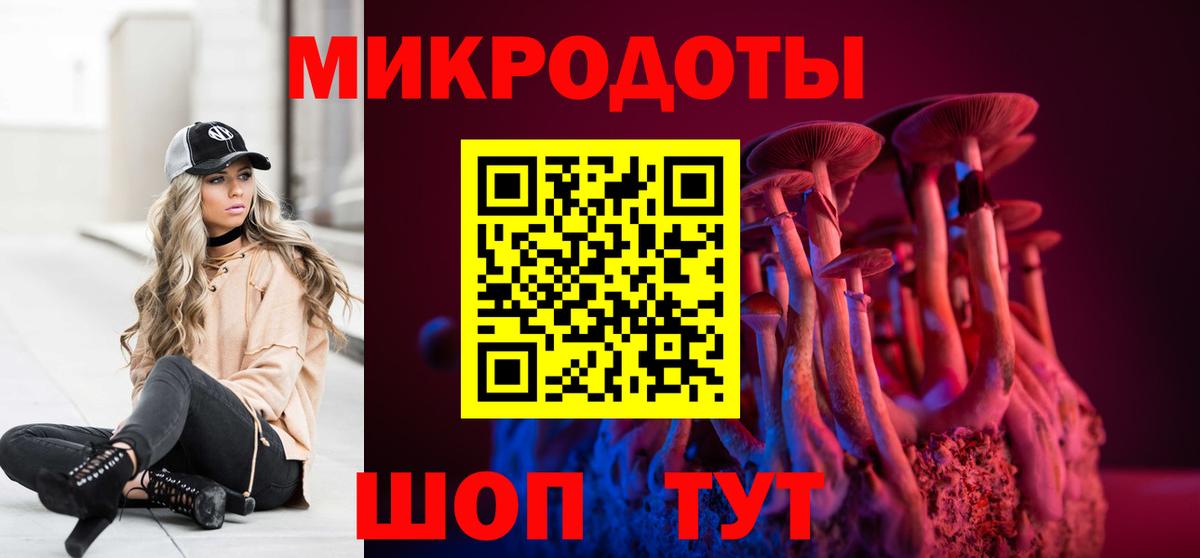 Галлюциногенные грибы Cubensis Кизляр