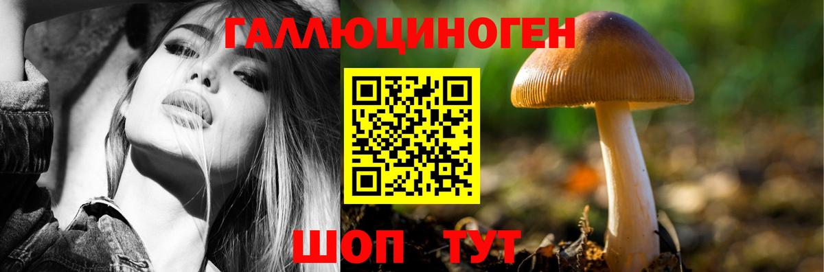 Псилоцибиновые грибы Psilocybe  Вход с VPN  хочу   Кизляр 